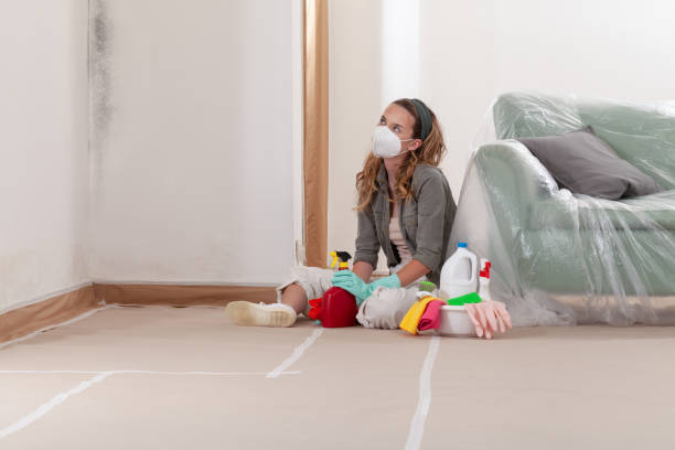 Trusted Black Mold Removal service in Rich Square, NC - WQB Mold Removal